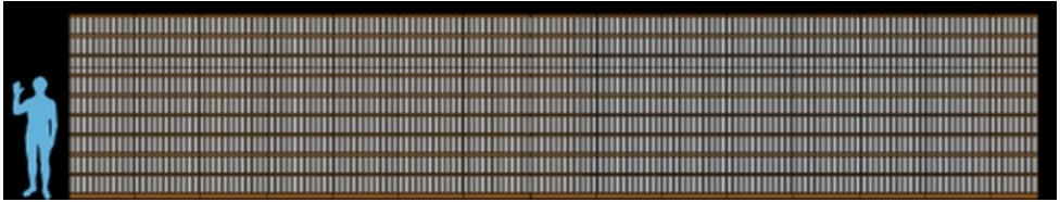 Illustration HUMANPEDIA: principe